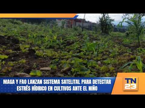 MAGA y FAO lanzan sistema satelital para detectar estrés hídrico en cultivos ante El Niño