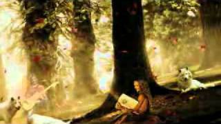 La leyenda del hada y el  Mago - Rata Blanca