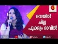 വെയിൽ ചില്ല പൂക്കും ജ്യോത്സനയുടെ ശബ്