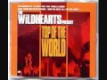 The Wildhearts  "Hit It On the Head"  No.26