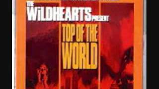 The Wildhearts  "Hit It On the Head"  No.26