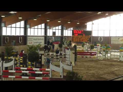 gelding by Contendro II x Wendekreis, *2006, International successful, Holger Hetzel Stables