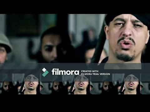 Dani printu banatului