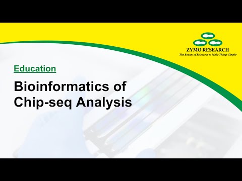 Bioinformatics of Chip-seq Analysis | Zymo Research