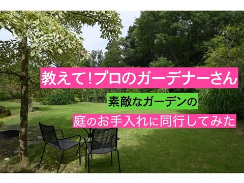 購入アドバイス: 庭に最適なスペードを見つける方法 庭の練習