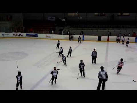 Kiekko-Tiikerit - Snow Leopards