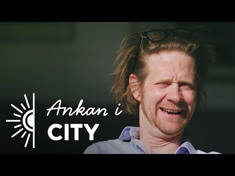 Ankan i Linköping  - Linköping city