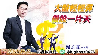 【大戶羅盤籌碼動能】 #謝宗霖 20220714  大盤輕輕彈 個股一片天 (圖)