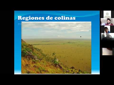 Zoom, 8ºBásico, Historia,  12 de Noviembre