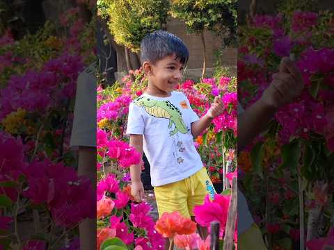 I'm always a flower lover || Do you like flowers #trendingshorts #trending