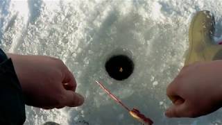 Отчет о рыбалке на можайском водохранилище сегодня