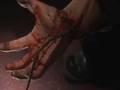 Snakes On A Train Trailer