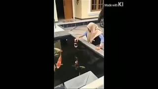 Download lagu Random Para Tolol 2019 || Kompilasi vidio lucu mp3