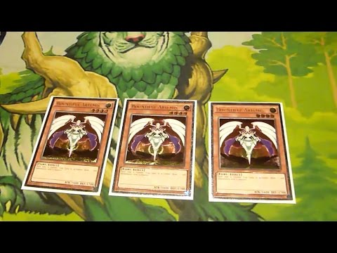 Counter Fairy ft. Card of Demise (1st after swiss) - Top 8 CCG Regionals - Deck Profile (May 2016)