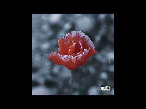 [FREE FOR PROFIT] "december" midwest emo x hyperpop x glaive Type Beat