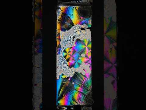 Menthol Crystals Under Polarized Light #experiment #science #chemistry