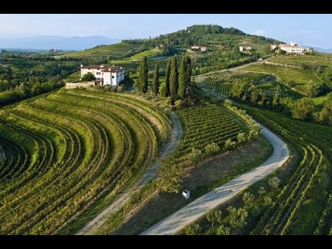 Trek Collio 3 05 2020