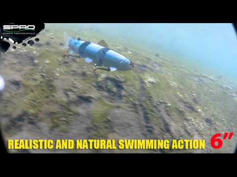 SPRO BBZ Swimbait Floating 10cm 21g Killer Gill