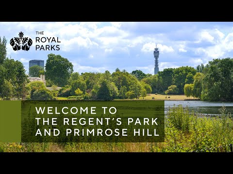 Discover The Regent’s Park & Primrose Hill, one of London’s Royal Parks