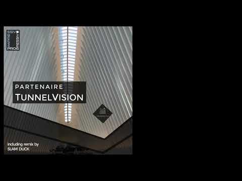 Partenaire - Mercurial State (Original MIx)