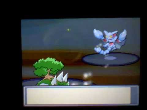 System Flaw Nintendo DS