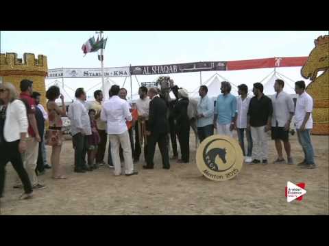 1st place N.86 ALEXXANDERR - Menton 2015 - Yearling Colts Championship (Class 12)