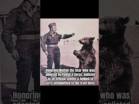 Honoring Wojtek the bear who was adopted by Polish II Corps, enlisted as an official soldier.