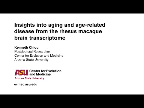Insights into age-related disease from the rhesus macaque brain transcriptome  - Kenneth Chiou