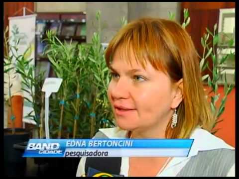 Band Cidade Campinas - Exposição de azeite no Instituto Agronômico - 21 09 2012