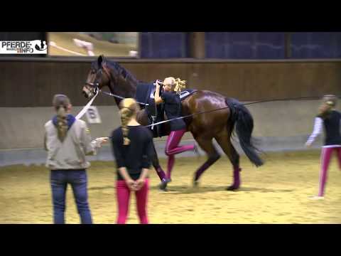 Turniersport Voltigieren – Grundübungen