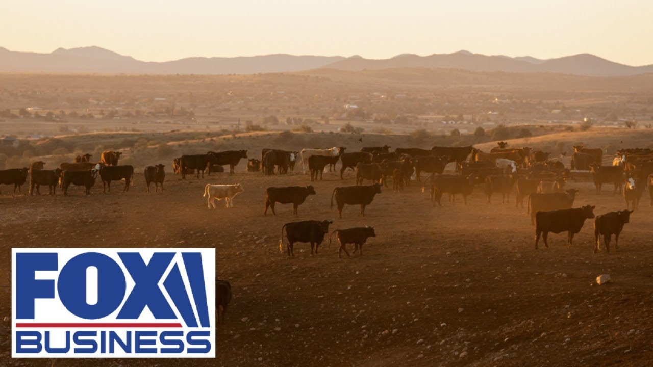 Omaha Steaks president warns Americans may not see beef prices drop until 2027