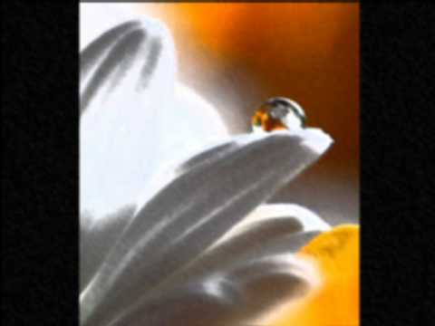 download lagu mp3 mp4 Hermana Glenda Bendita Sea Tu Pureza, download lagu Hermana Glenda Bendita Sea Tu Pureza gratis, unduh video klip Hermana Glenda Bendita Sea Tu Pureza