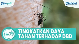 Langkah Mudah Tingkatkan Daya Tahan Tubuh Anak agar Terhindar dari DBD: Konsumsi Sayuran Hijau