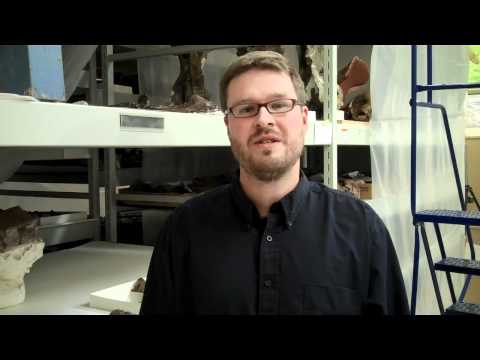 What is the difference between a mammoth and a mastodon?