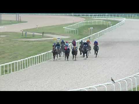 2019.06.16. 06. futam - NÉMETH FERENC EMLÉKKUPA II. FUTAMA HENDIKEP (V/b.) (szintetikus pálya)