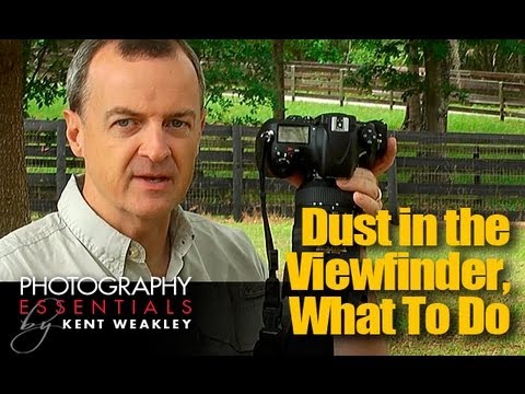 Dust in Camera Viewfinder? What To Do