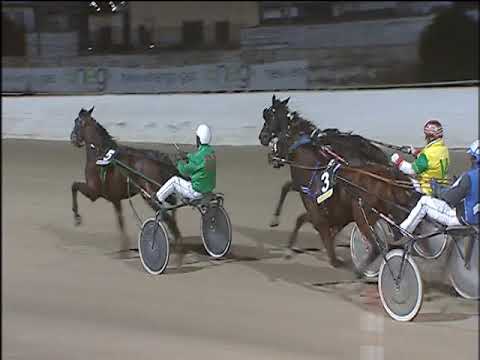 Trotto 29/11/2019 - 8ª corsa