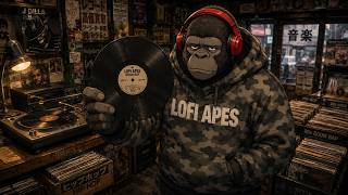 🐒 Retro Boom Bap & Scratch Vibes Vol. 2 | 90s Hip-Hop Vinyl Loops & DJ Cuts 📼