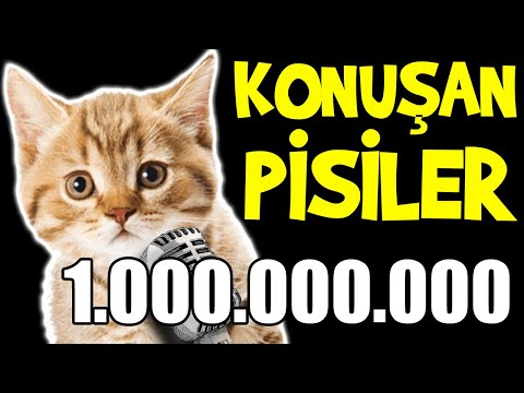 Konuşan Pisiler 1.000.000.000 - En Komik Kedi Videoları