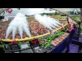 Andrew Rayel Live Tomorrowland 2016 Audio