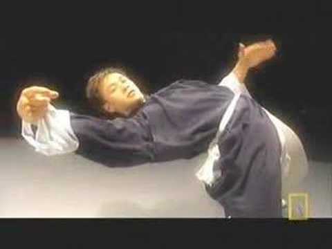 Drunken Tai Chi Nexus