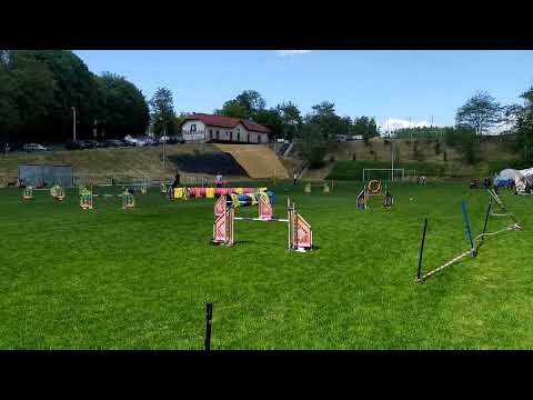 Jumping Open II - II Kwalifikacje do Mistrzostw Świata Agility 2022