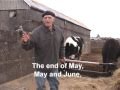 Emily S Garden I Ll Be Calling Ewe Mp4