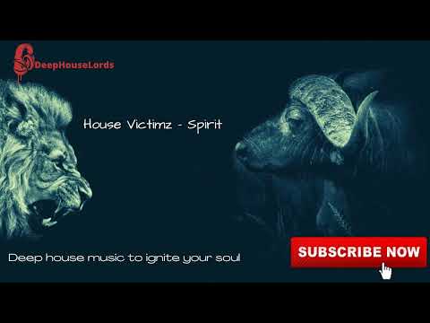 House Victimz - Spirit
