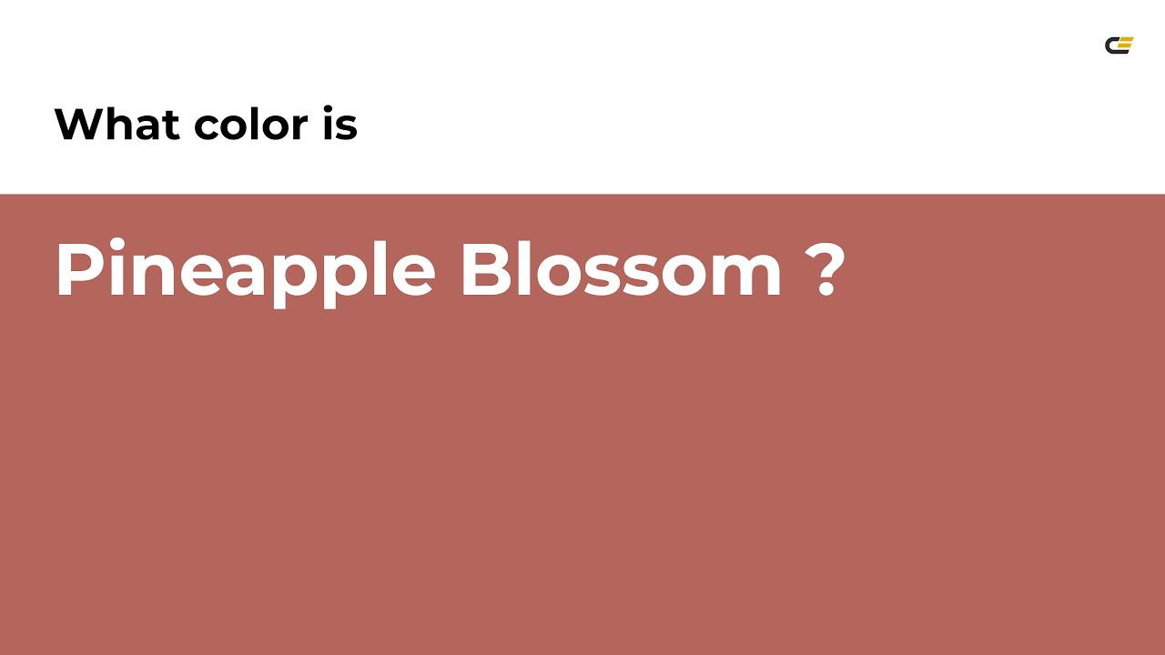 Pineapple Blossom color #b4655c hex color - Orange color - Cool color b4655c