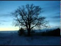 Darkwood-Winter 
