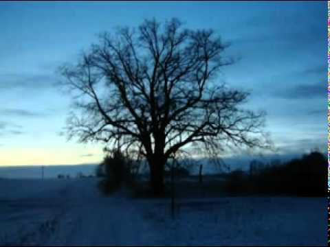 Darkwood-Winter