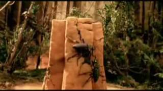 Rammstein- Links 2 3 4 Sub Ita