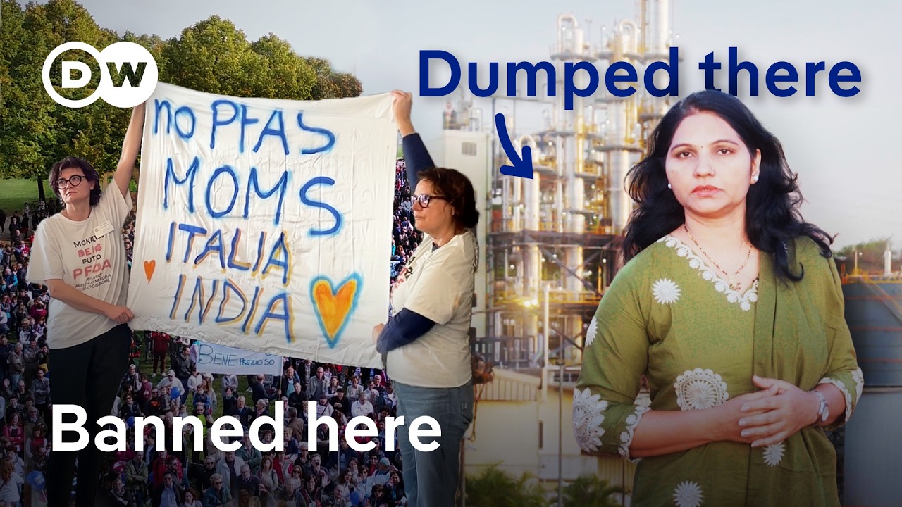 From pollution to progress: Tackling PFAS across continents | DW News