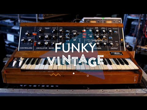 Moog Minimoog Model D FULLY SERVICED image 9